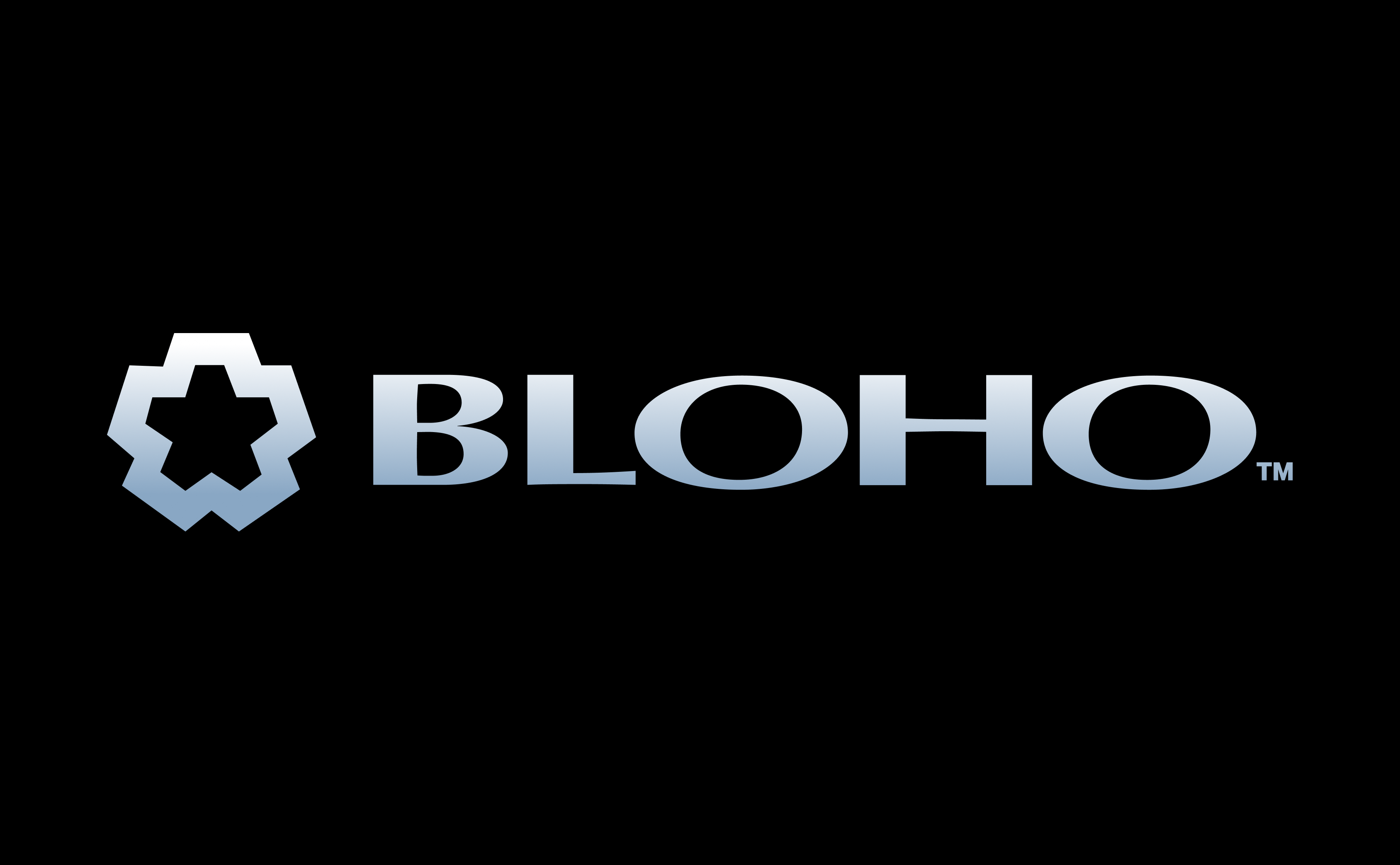 Bloho logo in rough metal
