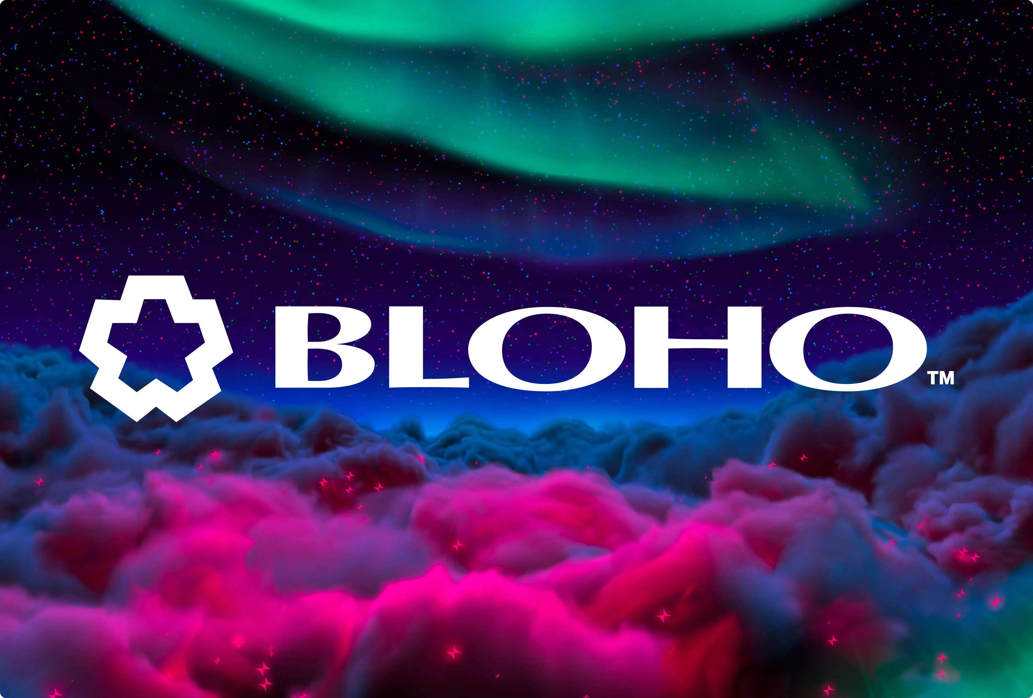 Bloho logo with hero